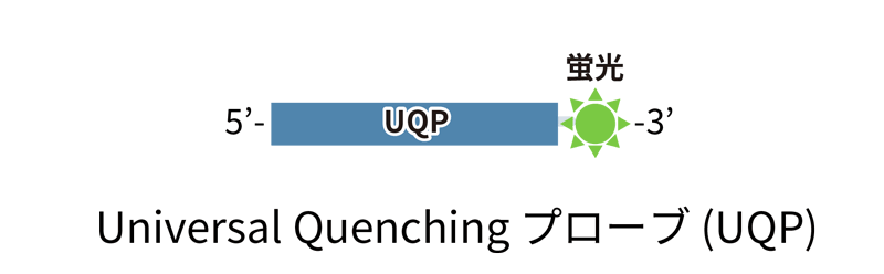 Universal Qprobe